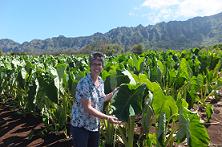 Maria Gallo with taro at Waimanalo Research Station
